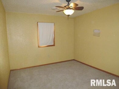 324 Willard Ave, Lincoln, IL 62656 - photo 7