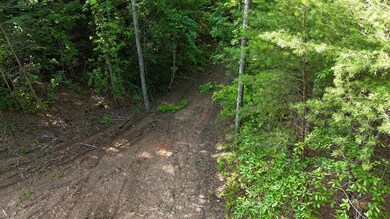 TR 2 E New Hope Rd, Ellijay, GA 30536 - photo 7