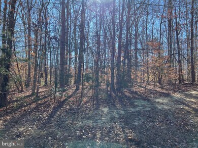 0 Noah's Landing Dr unit VALA2005060, Jackson, VA 23024 - photo 2