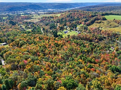 0 Honeypot Rd, Candor, NY 13743 - photo 5