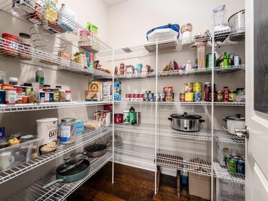 HUGE walk-in pantry!