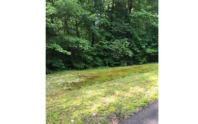 33/34 Maple Rest Ln, Ellijay, GA 30540 - photo 2