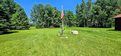 2965 Bankton Rd SW, Baudette, MN 56623 - photo 5