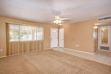 0005-White Moutain (6)