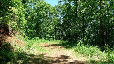 99999 Blossom Ridge, Leicester, NC 28748 - photo 2