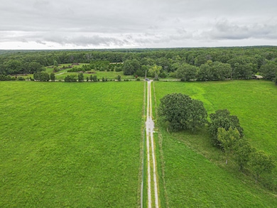 1300 Long Branch Rd, MacK's Creek, MO 65786 - photo 2