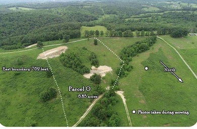 Tbd Off of Highway 137, Willow Springs, MO 65793 - photo 2