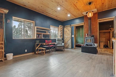 24427 Thovson Rd, Keystone, SD 57751 - photo 5