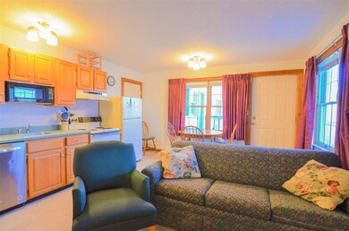 30 Pond St unit 7, Ludlow, VT 05149 - photo 4