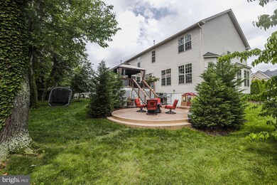 4707 Barnum Ln, Alexandria, VA 22312 - photo 4