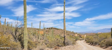 4790 N El Adobe Ranch Rd, Tucson, AZ 85745 - photo 7