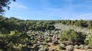 1702 Luke Rd, Fort Garland, CO 81133 - photo 3