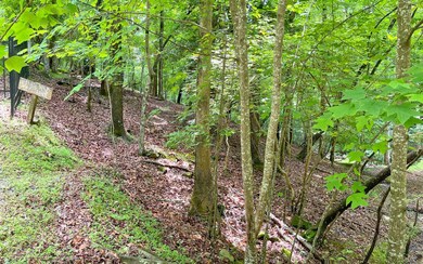 Additional View