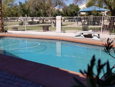 backyard pool open to park