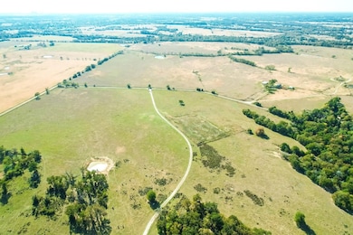 County Road 781, Donie, TX 75838 - photo 3