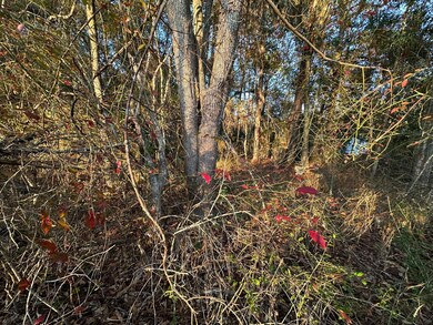 TBD E Chestnut Ave, Crestview, FL 32539 - photo 7