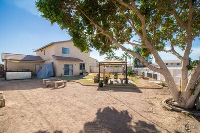 HUGE backyard!