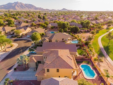 07-Birdie Aerials