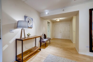 William Place unit 203, River Forest, IL 60305 - photo 4