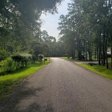 15910 Lone Shadow Tr, Stagecoach, TX 77355 - photo 6