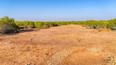 Cr 331 E, Jourdanton, TX 78026 - photo 4