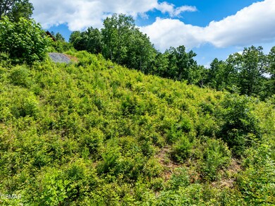 648 Almost Heaven Way, Gatlinburg, TN 37738 - photo 5