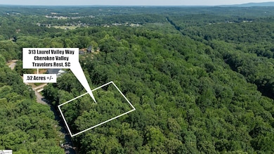 313 Laurel Valley Way, Travelers Rest, SC 29690 - photo 3
