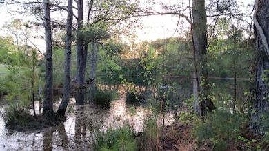 0 Cannady Mill Rd, Franklinton, NC 27525 - photo 4