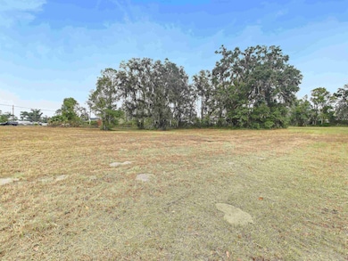 Vacant Forest Cir, Perry, FL 32347 - photo 4