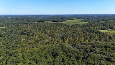 0 Emmons Ridge Rd unit 24600131, Shoals, IN 47581 - photo 7