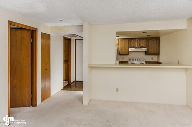 9625 Independence Dr Anchorage-large-002