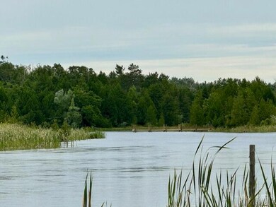 Lot 4 Mograin, Cheboygan, MI 49721 - photo 5
