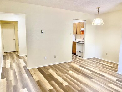 222 N Center St unit 207, Grand Prairie, TX 75050 - photo 4