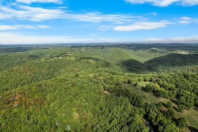 000 Pine Top Rd, Hollister, MO 65672 - photo 5