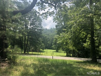 8346 Cedar Mountain Rd, Pinson, AL 35126 - photo 2