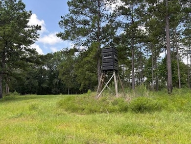 182 Hwy 44, Tylertown, MS 39641 - photo 5