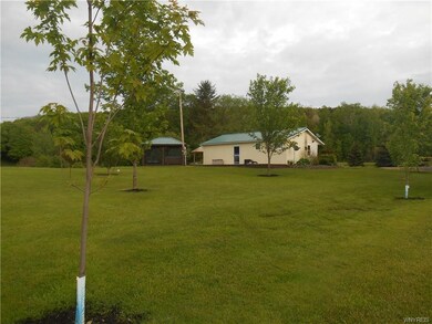 Nice large yard with plenty of trees