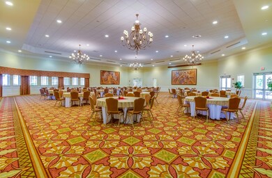IMG_4132n-2