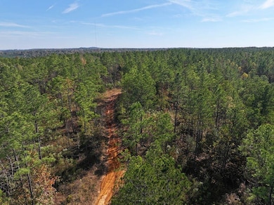 Hugh Gilreath Rd, Woodland, MS 39776 - photo 4