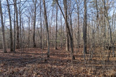 0 Satsuma Dr unit RTC2774380, Crossville, TN 38555 - photo 2