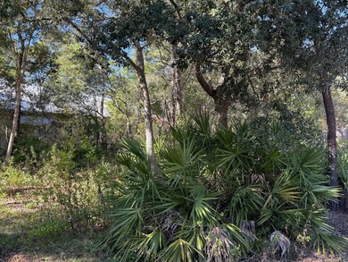 TBD Riker Ave, Santa Rosa Beach, FL 32459 - photo 5