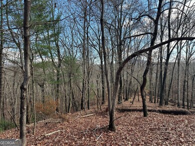 200 Mincey Acres Dr, Murrayville, GA 30564 - photo 4