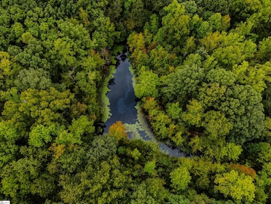 0 S Packs Mountain Rd, Taylors, SC 29687 - photo 7