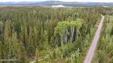 1327.6 B5 Alaska Hwy, Tok, AK 99780 - photo 3