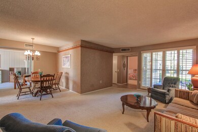 17055 N 107th Ave, Sun City, AZ 85373 - photo 5