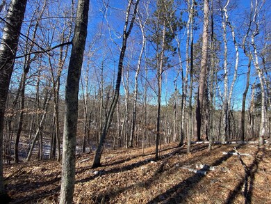 18100 526th St, McGregor, MN 55760 - photo 6