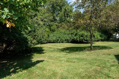 park like setting in the back yard