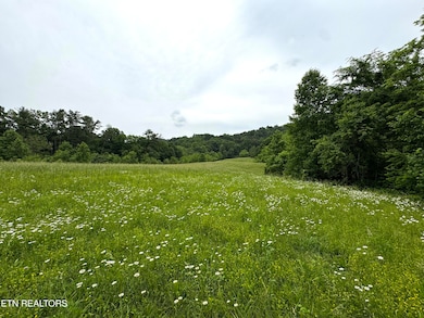 0 Licklog Hollow Rd, Sevierville, TN 37876 - photo 2