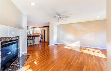 Living Room - IMG_8331s