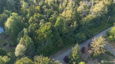 3628 Creek View Ct SE, Parkwood, WA 98366 - photo 7